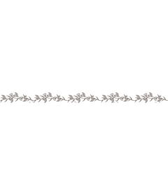 Floral clipart vine