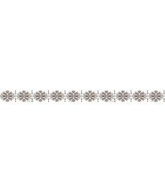  Elegant floral border
