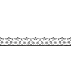  Elegant decorative border