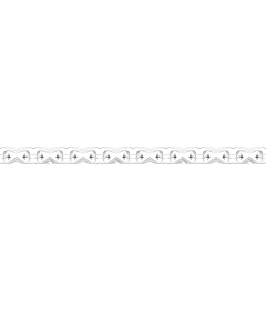Elegant floral border