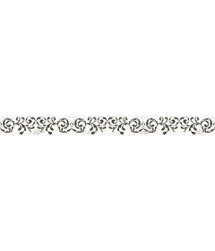 Elegant floral border