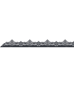 Elegant floral border