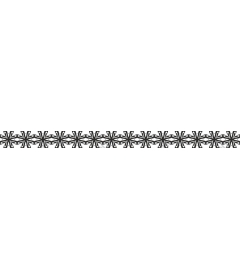  Elegant floral border
