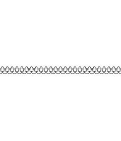 Elegant floral border