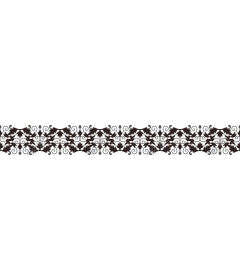  Elegant floral border - intricate black-and-white