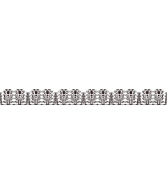 Decorative floral border