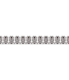  Elegant floral border
