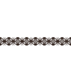  Elegant decorative border