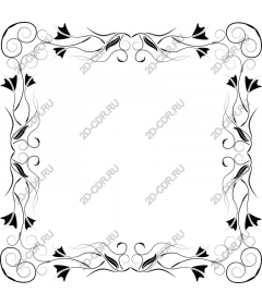  Elegant floral frame