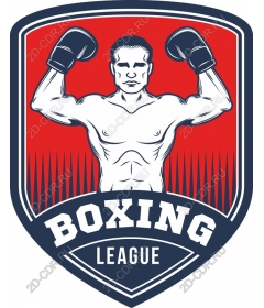 Dynamic Boxing League