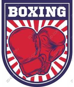 Boxing gloves