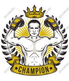  Boxing champion