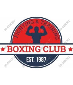 Boxing club - boy and workout