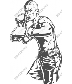 Dynamic Boxer