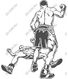 Intense Boxing knockout