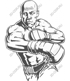  Dynamic Boxer