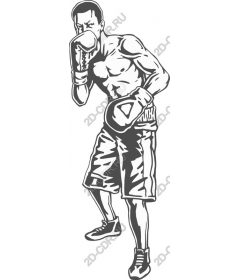  Dynamic Boxer