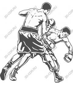  Dynamic Boxing match