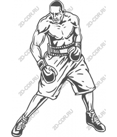 Boxer in action