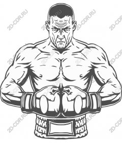 Dynamic Boxer