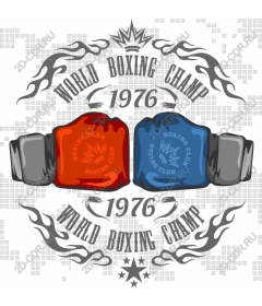  The world champion in Boxing in 1976