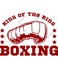 King of the ring Boxing