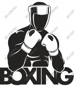  Boxing champion