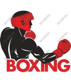 Dynamic Boxing