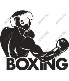  Boxing champion