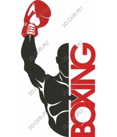 Dynamic Boxing