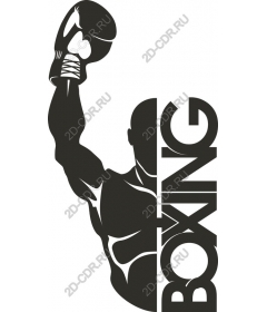  Boxing champion