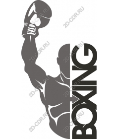 Triumph Boxing