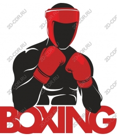  Boxing champion