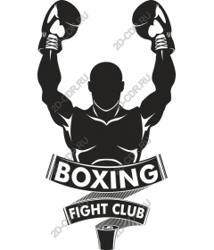 Boxing fight club