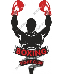  Boxing champion