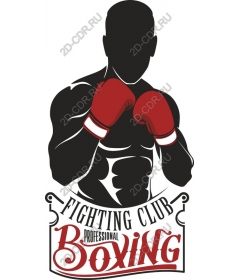 Professional Boxing