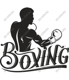  Dynamic Boxing is power and passion