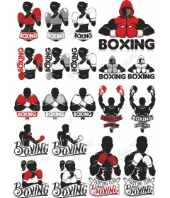 Boxing set - 16 Dynamic and