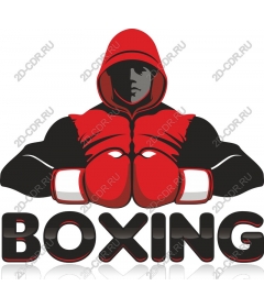  Dynamic Boxing