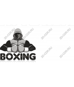  Boxing champion