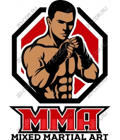 MMA fighter