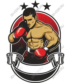  Dynamic Boxer