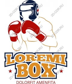 Dynamic boxer - BOX LOREMI