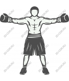  Dynamic Boxer