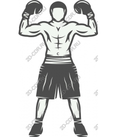 Victorious boxer