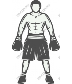  Dynamic Boxer