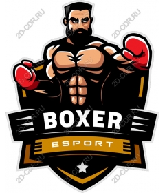  Dynamic Boxing eSports