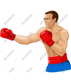  Dynamic Boxer