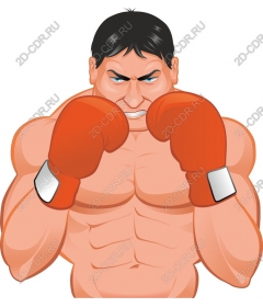 Dynamic Boxer