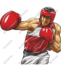  Fierce boxer